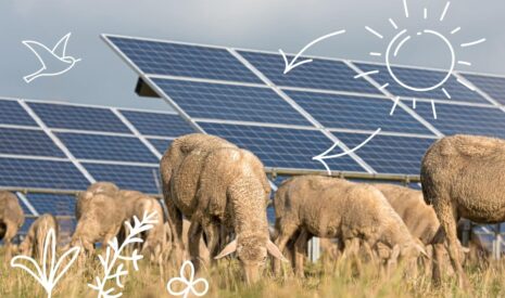 TERAPOLIS ambitionne de révolutionner les solutions énergétiques et de réaliser 5% objectifs nationaux d’énergie renouvelable