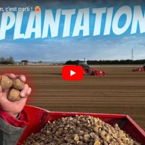 fin plantation pommes de terre 0405