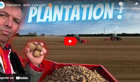 Plantation : c’est parti !