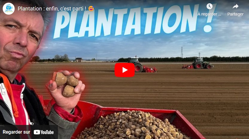 fin plantation pommes de terre 0405