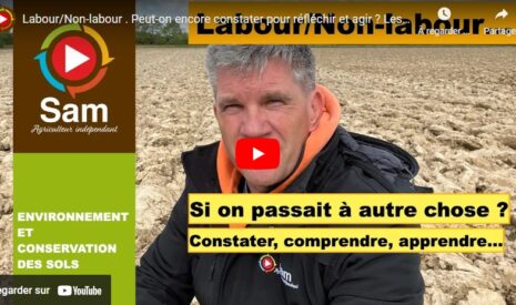 Labour et non-labour : constater pour réfléchir et agir ?