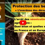 Betteraves , pommes de terre : Lutter contre les pucerons