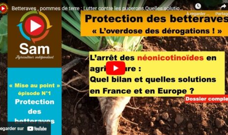 Betteraves , pommes de terre : Lutter contre les pucerons