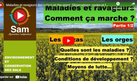 Maladies et ravageurs des colzas et des orges 1/2