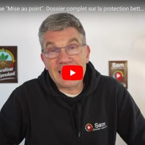 mise au point protection betteraves 3004