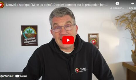 Nouvelle rubrique « mise au point » : la protection des betteraves #1