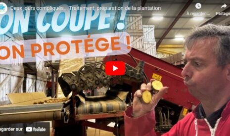 Traitement et préparation de la plantation