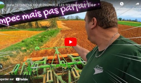 Préparer les tournesols