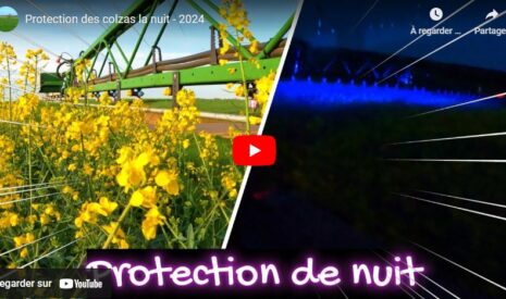 Protection des colzas
