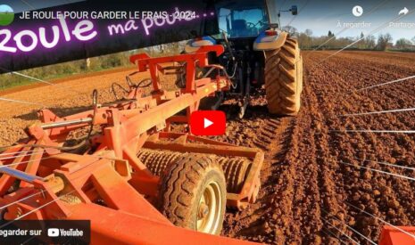Reprises du tournesol !