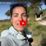 Quand faut-il tailler les vignes ?
