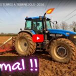 Reprise des terres à tournesols