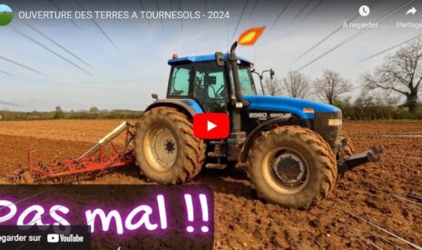 Reprise des terres à tournesols