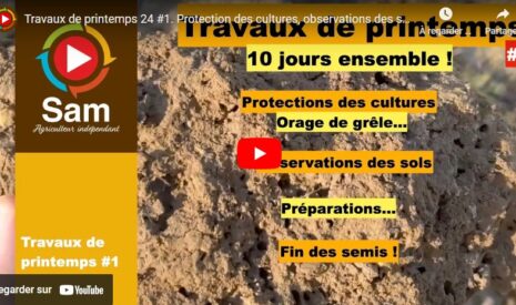 Travaux de printemps 2024 : protection et observation des sols