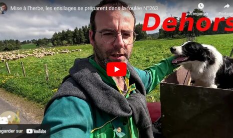 Mise à l’herbe, les ensilages se préparent dans la foulée