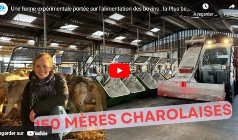 Une ferme expérimentale portée sur l’alimentation des bovins