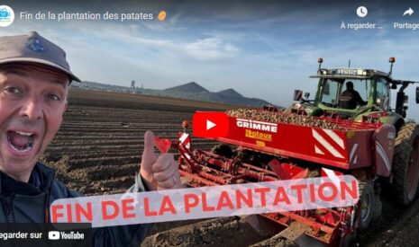 Fin de la plantation des patates