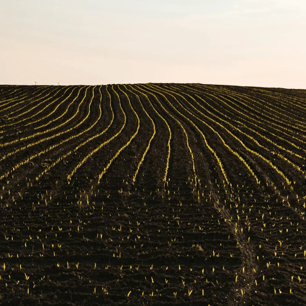 MARVIC : lancement d’un projet européen pour une agriculture bas carbone