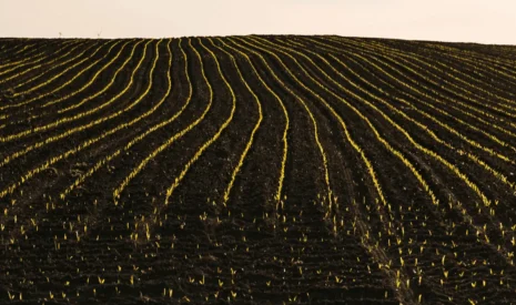 MARVIC : lancement d’un projet européen pour une agriculture bas carbone
