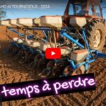 Préparation des semis de tournesols