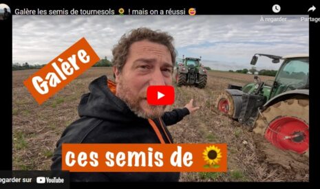 Semer le tournesol avec ou sans la pluie ?