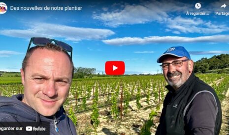 Tour du plantier