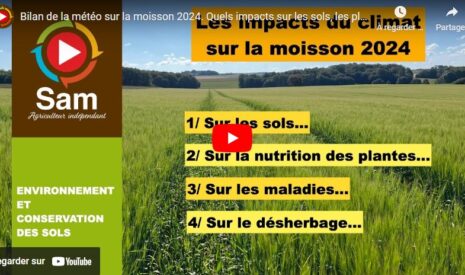 Bilan de la météo sur la moisson 2024