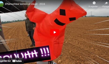 Effaroucheur pour faire fuir les pigeons