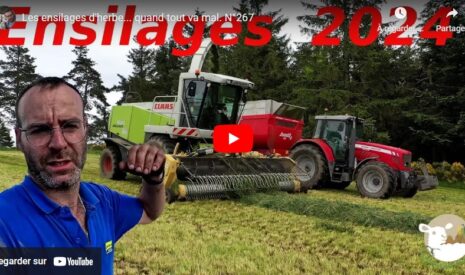 Ensilage 2024