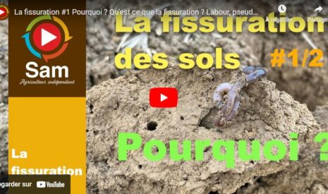Qu’est-ce que la fissuration ? 