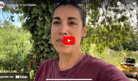 Passer la tondeuse