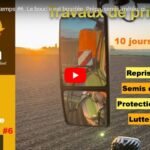 Travaux de printemps #6 : prépa et semis