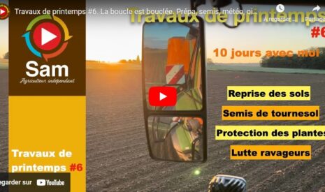 Travaux de printemps #6 : prépa et semis