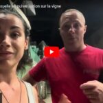 Dernier traitement de la saison