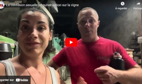 Dernier traitement de la saison