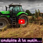 Déchaumage des colzas