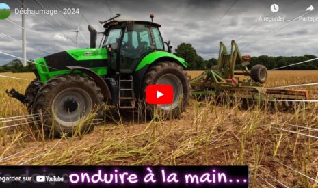 Déchaumage des colzas