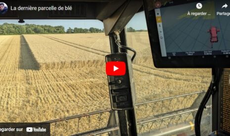 Dernière parcelle de blé
