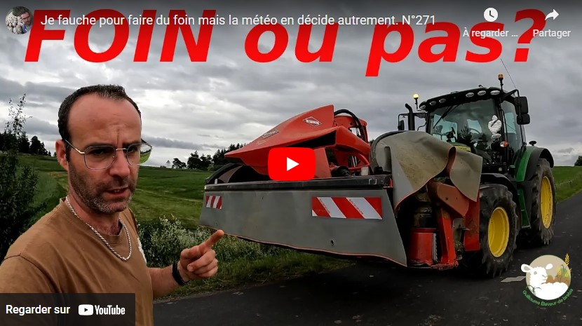 faucher faire du foin 0508