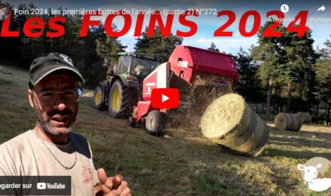 Foin : premières bottes de l’année