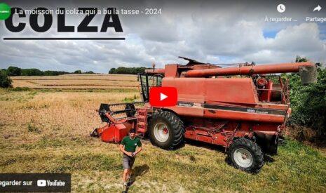 Moisson du colza : une saison ratée ?