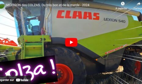 Moisson des colzas