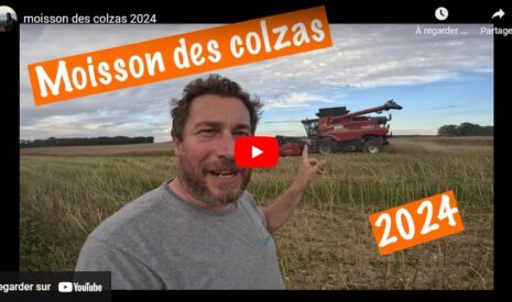 Moissons des colzas 2024