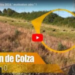 Moissons de colza 2024