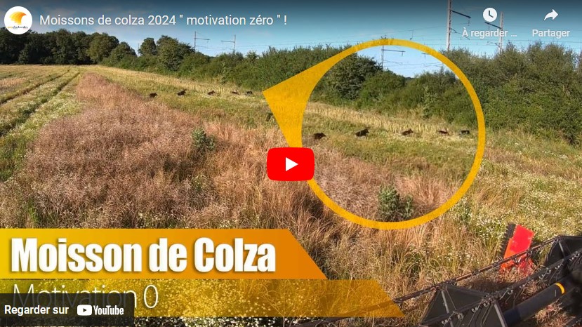 moissons de colza 0808