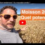 Point sur la moisson 2024