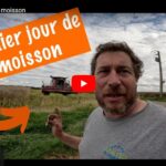 Premier jour de moisson