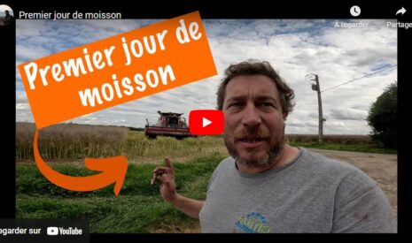 Premier jour de moisson