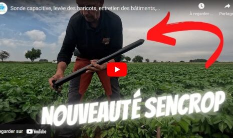 Sonde capacitive, levée des haricots et entretien des bâtiments
