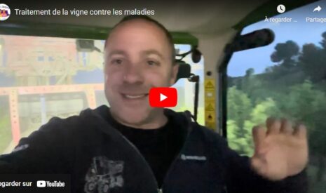 Traitement de la vigne
